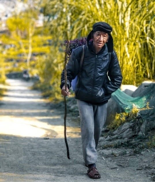 Epic 15-Day Ha Giang to Sapa Mountain Bike Tour